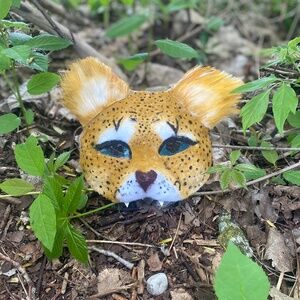 CHEETAH MASK!